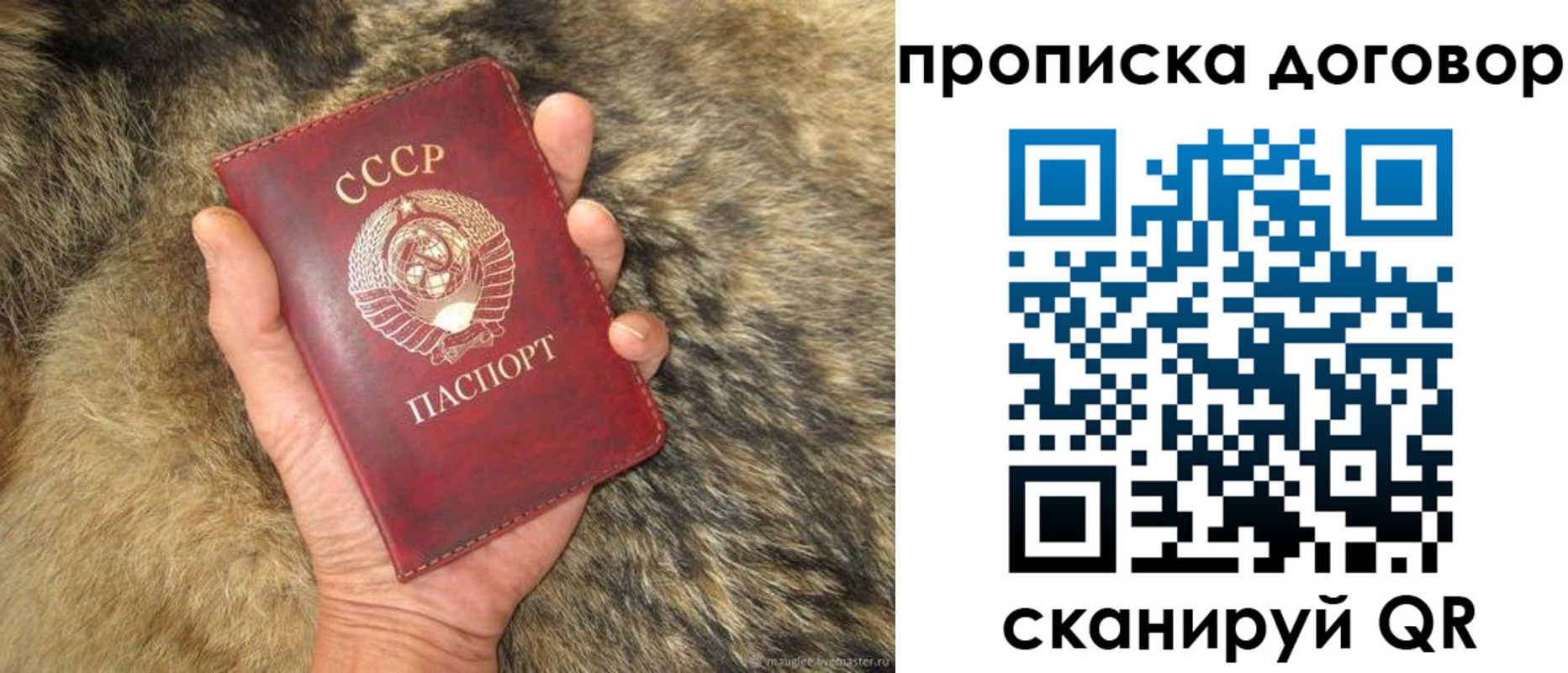 прописка регистрация в Краснодарском крае